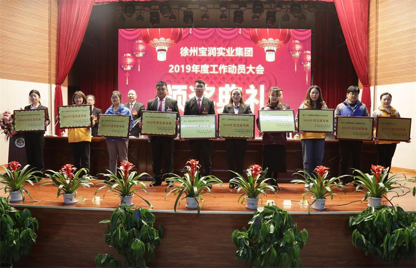 ld（中国）官方网站2019年度工作动员大会---集团公司领导为先进单位和先进个人代表颁奖