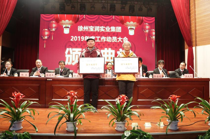 ld（中国）官方网站2019年度工作动员大会---集团公司领导为先进单位和先进个人代表颁奖