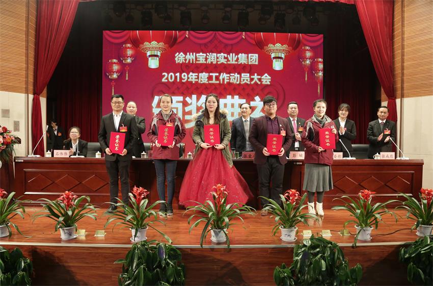 ld（中国）官方网站2019年度工作动员大会---集团公司领导为先进单位和先进个人代表颁奖