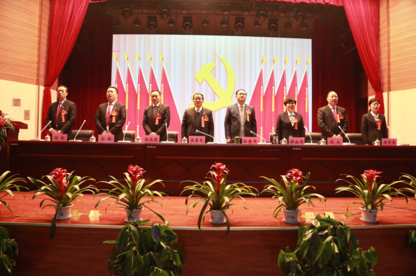 ld（中国）官方网站隆重召开第一届党委班子选举大会