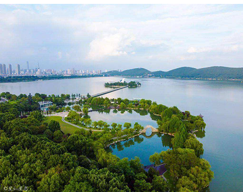 ld（中国）官方网站